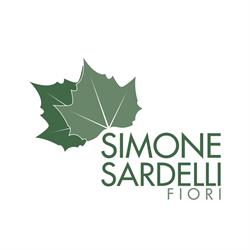 Sardelli Simone