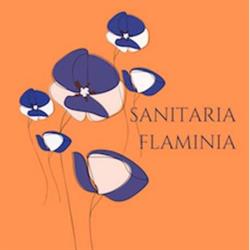 Sanitaria Ortopedia Flaminia