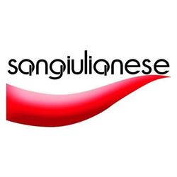 SANGIULIANESE TRASLOCHI srl