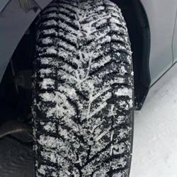 Sangemini Gomme SNC Di Camiciola