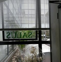 Salus SRL
