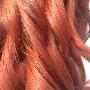 Colore Moda
