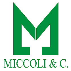 Salone Miccoli
