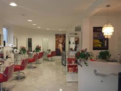 Salone Morena