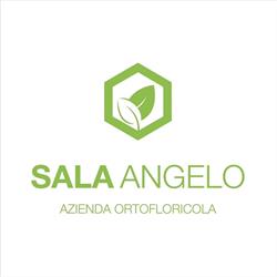 Sala Angelo