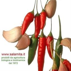 Salamita Soc. Coop.
