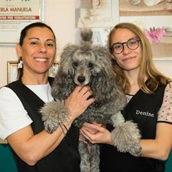 Sala Del Cane Di Zemella Laura