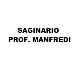 Saginario Prof. Manfredi