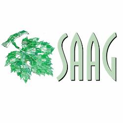 Saag
