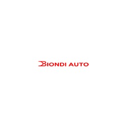 Biondi Auto S.M.