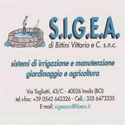 S.i.g.e.a. Di Bittini Vittorio e C. S.n.c.
