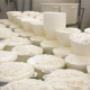 RICOTTA