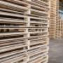 Gallery Professionale