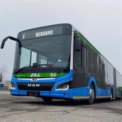 S.a.i. Treviglio Societa' Autolinee Interprovinciali (Srl)