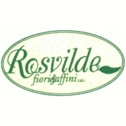 Rosvilde Agenzia Funebre