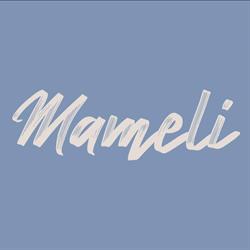 Rosticceria Pizzeria Mameli