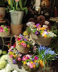 Rosta - Flor