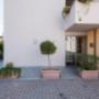 Gallery Professionale
