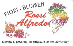 Rossi Alfredo