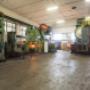 Gallery Professionale