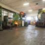 Gallery Professionale