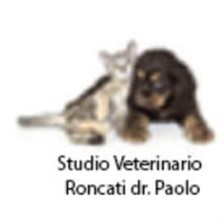 Roncati Dr. Paolo
