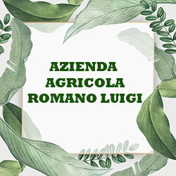 Azienda Agricola Romano Luigi