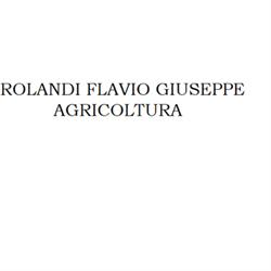 Rolandi Flavio Giuseppe