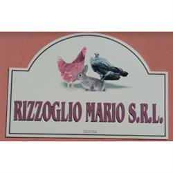 Rizzoglio Mario