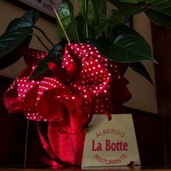 Ristorante-Albergo 'la Botte'