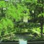Parco