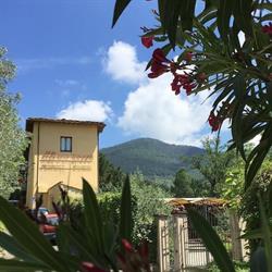 Ristorante Ulivo Rosso