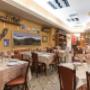 Gallery Professionale
