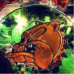Bulldog