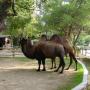 Parco Zoo Punta Verde Udine