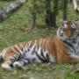 Zoo Lignano Udine