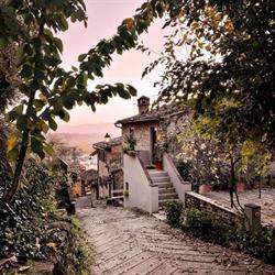 Ristorante Osteria Il Canto Del Maggio