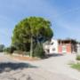 Gallery Professionale