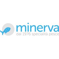 Minerva