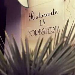 Ristorante pizzeria - La Foresteria (anche camere)