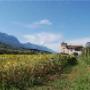 Residence con Giardino