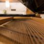 Gallery Professionale