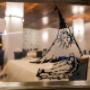 Gallery Professionale