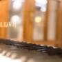 Gallery Professionale