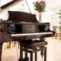 Gallery Professionale