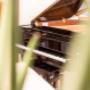 Gallery Professionale