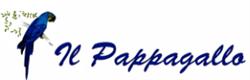 Il Pappagallo