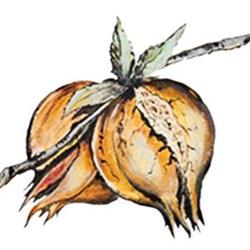 Ristorante Il Melograno