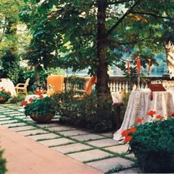 Ristorante Vigneto
