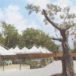 Ristorante Degli Ulivi Teresa